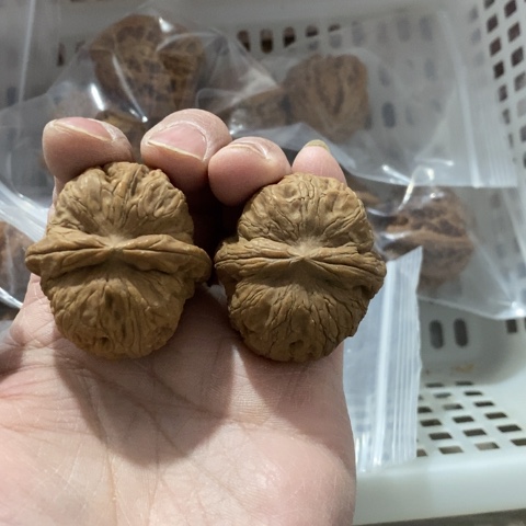 魔***山文玩核桃把件哈哈哈哈