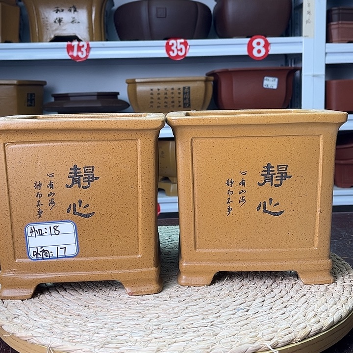 花盆紫砂你在一起