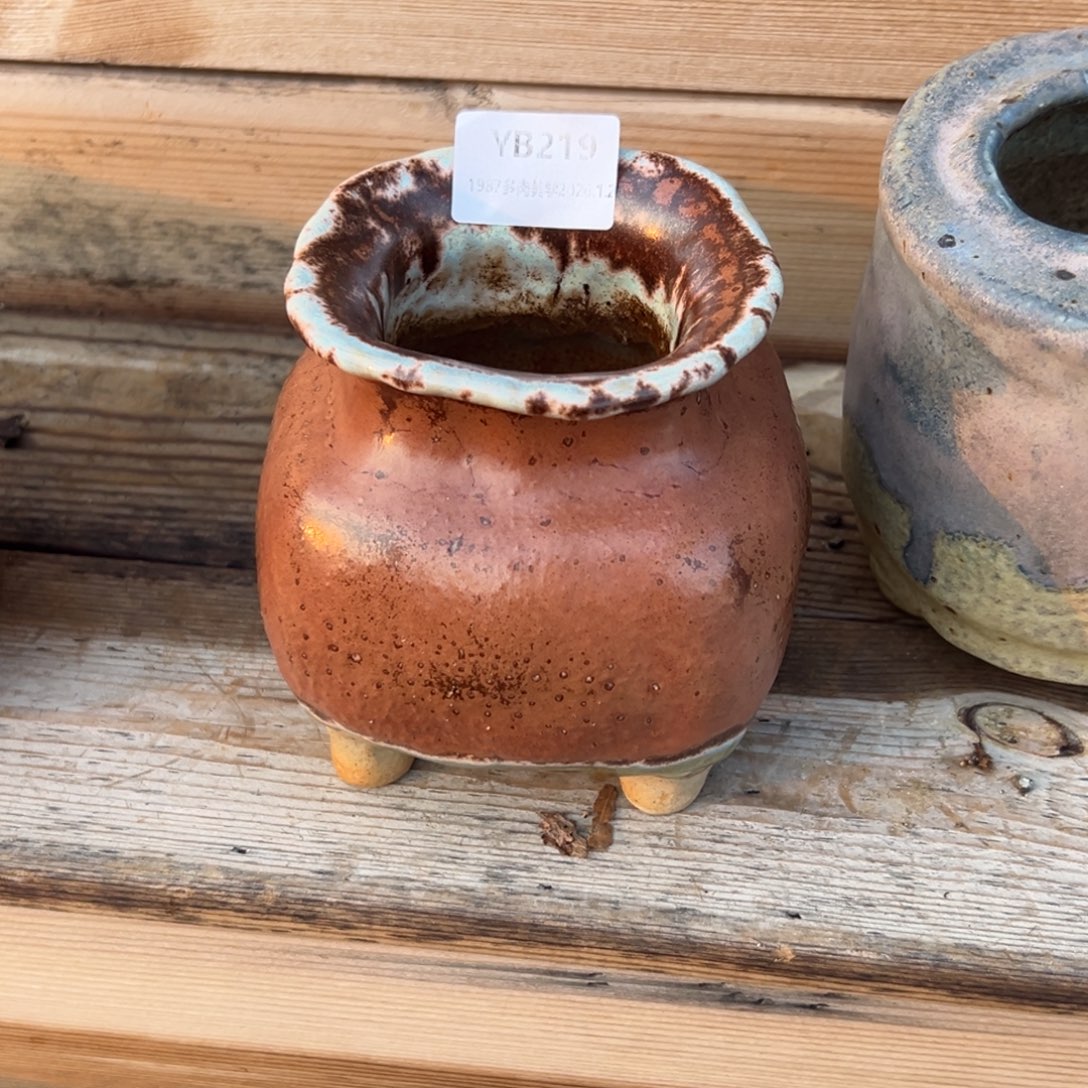 骑****1987植物花盆YB219