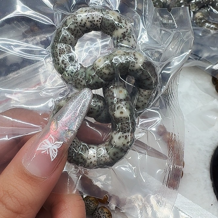 星月菩提手串362卓越星月菩提猪大肠10单圈