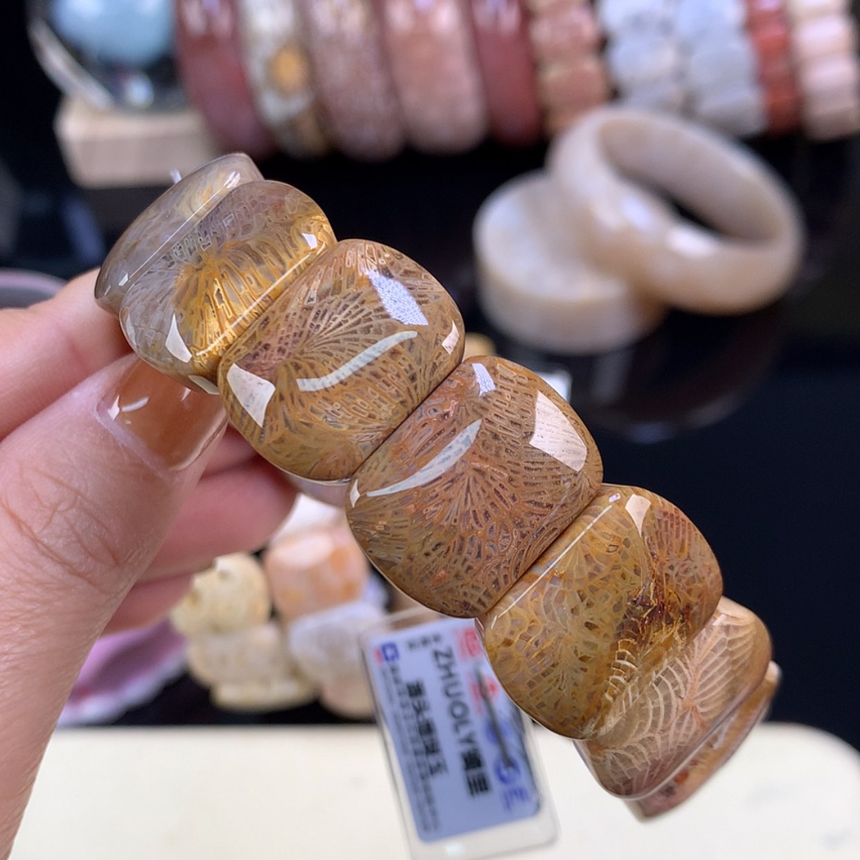 【闪购商品】颈饰未镶嵌硅化珊瑚（珊瑚玉）开播福利手牌4号