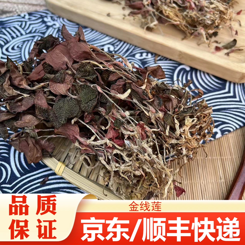 【精选】福建红霞金线连干货丝线分明 整株细叶煲汤煲水