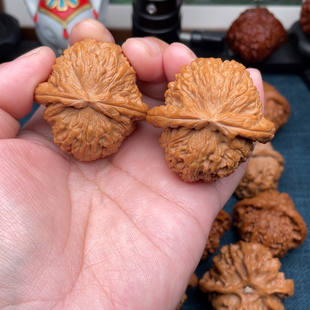 把件文玩核桃全品边肚同尺大克重白狮子44.5