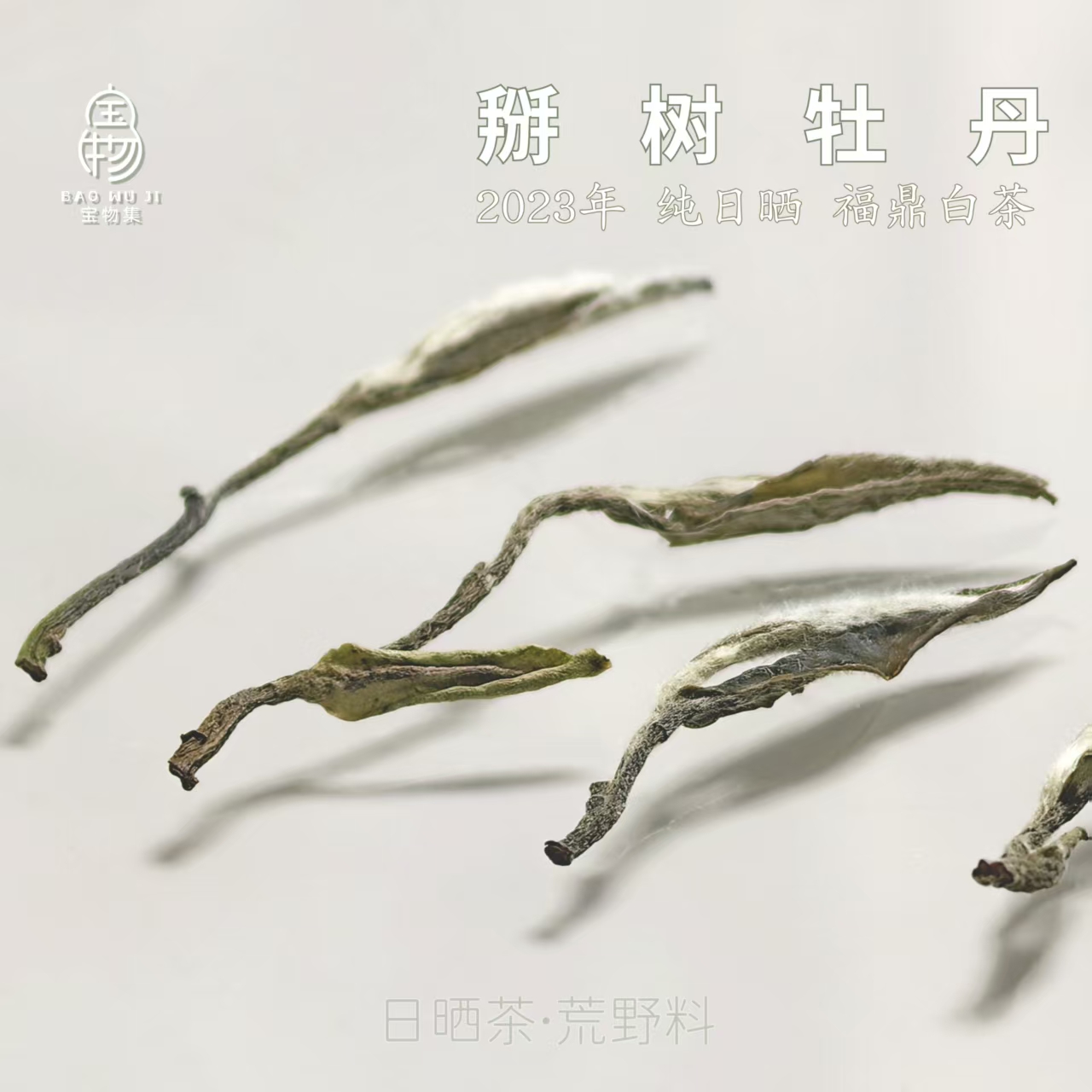 宝物集 2023年掰树特级牡丹 福鼎白茶