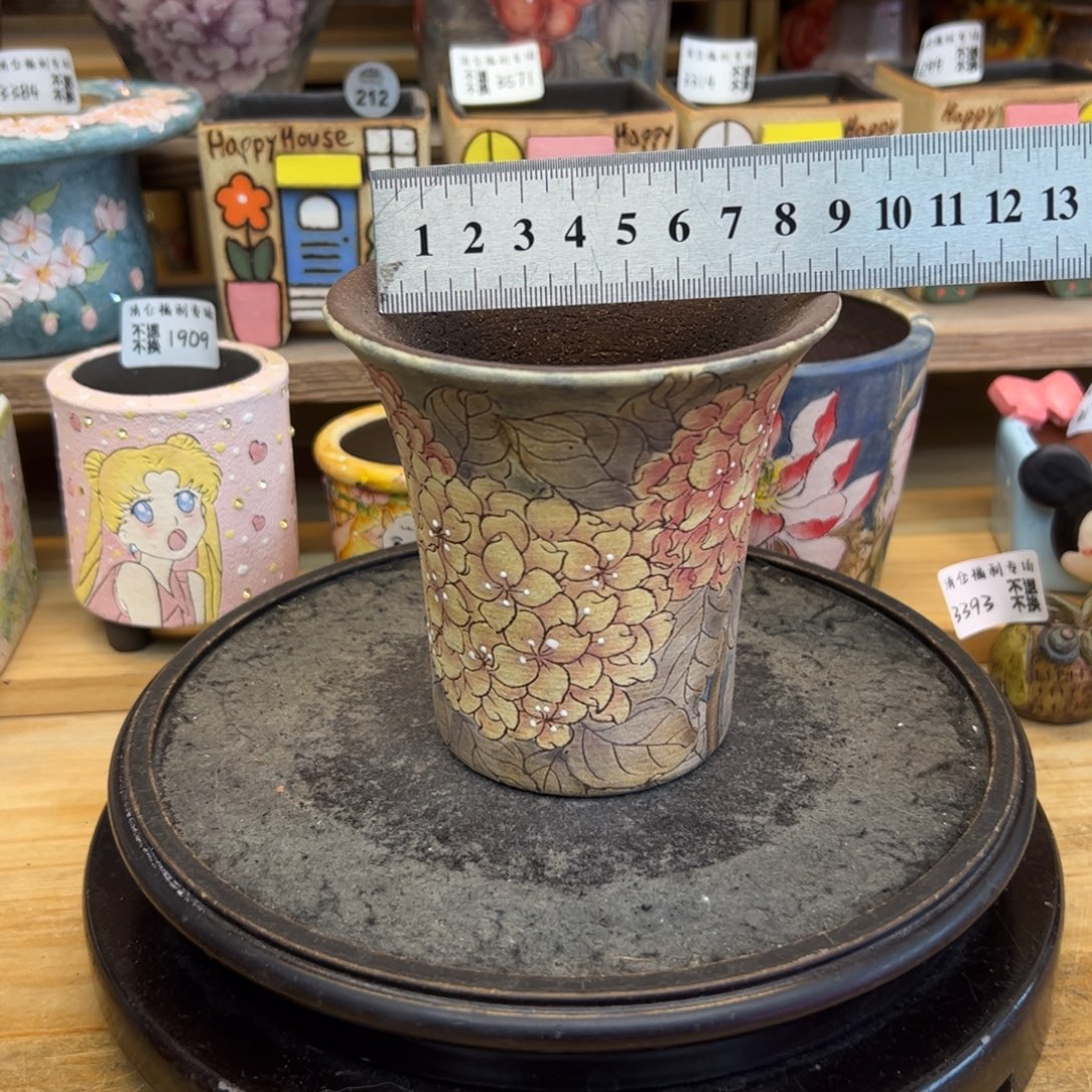 3625福利没有来咯