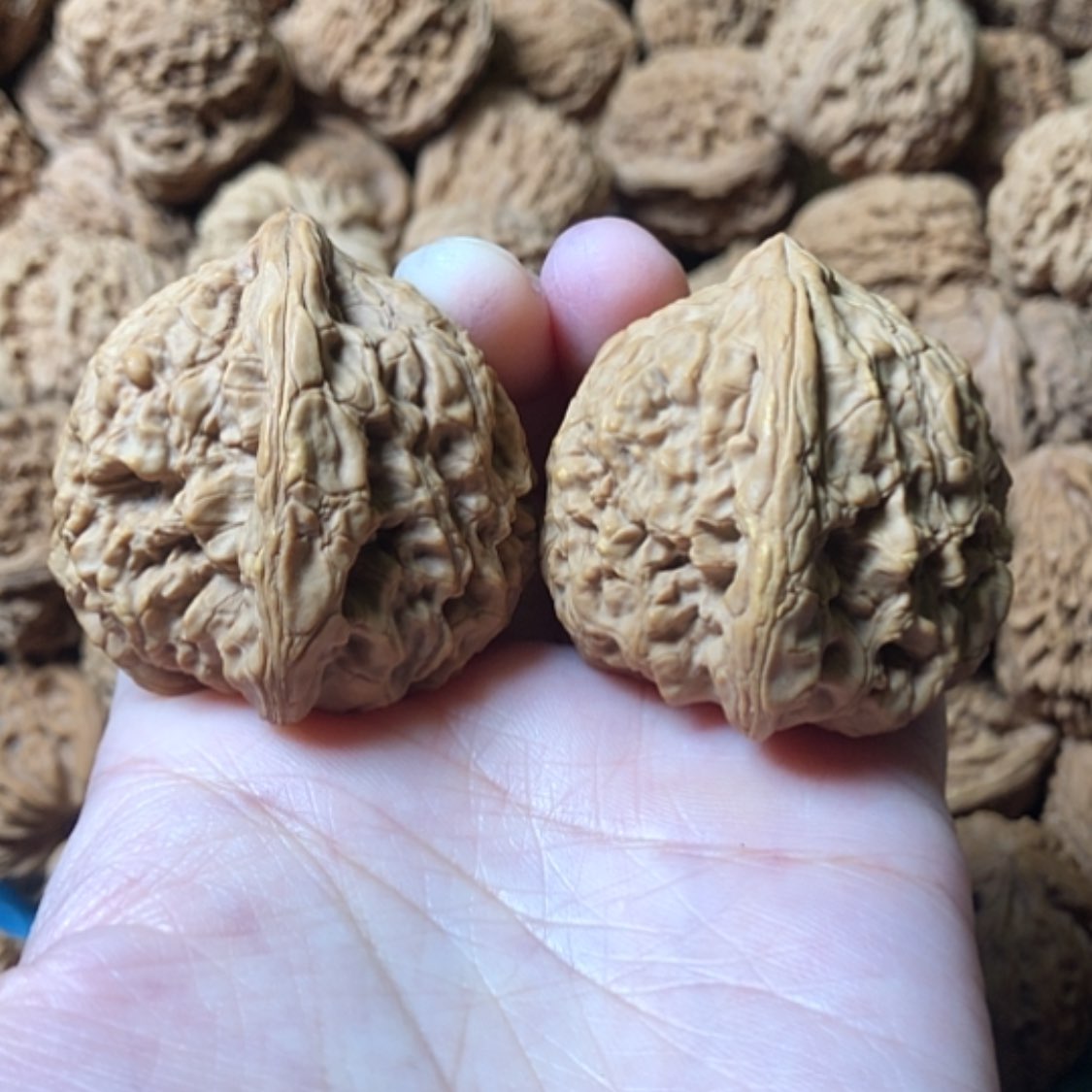 【闪购商品】文玩核桃把件一代将