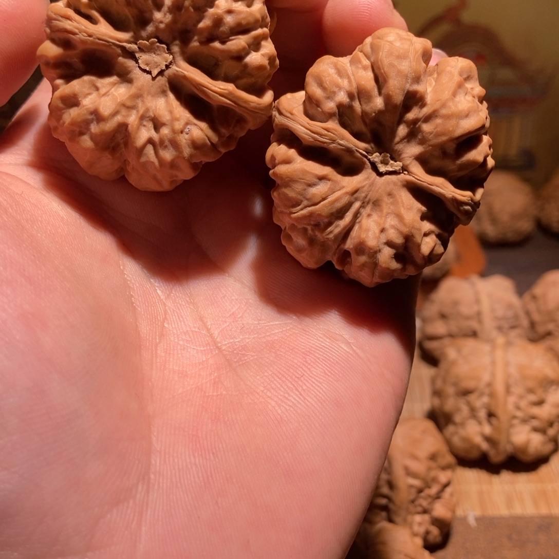 杨****文玩核桃吊坠蛤蟆头D34