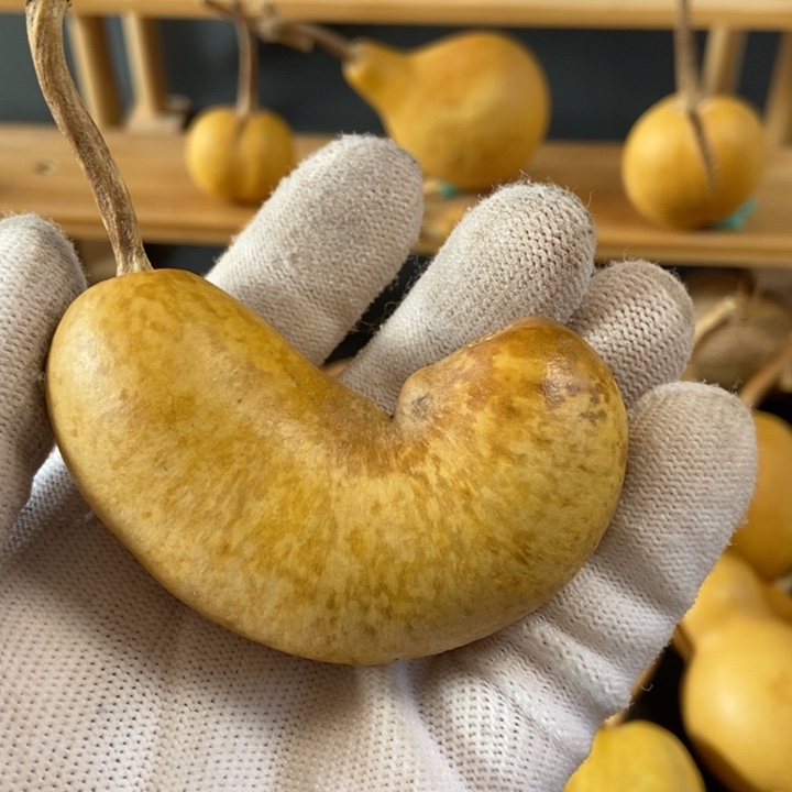 珠葫芦葫芦真的好