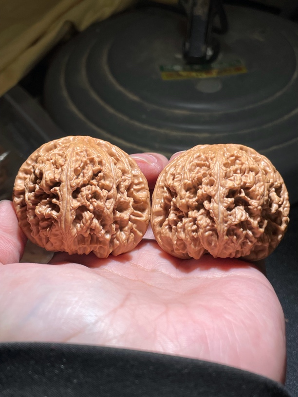 平谷大粗筋，文玩核桃边48肚45   高41，一物一图 