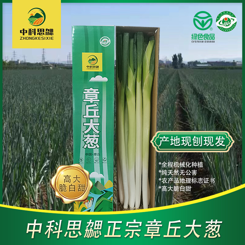 章丘大葱原产地直发新鲜当季特级大葱礼盒5斤装高大脆白甜