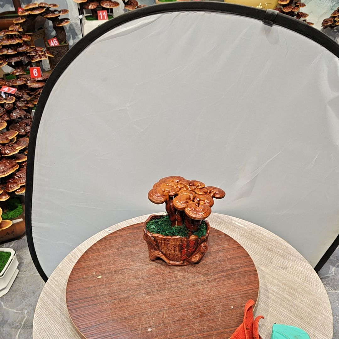 灵芝盆景高端大气上档次