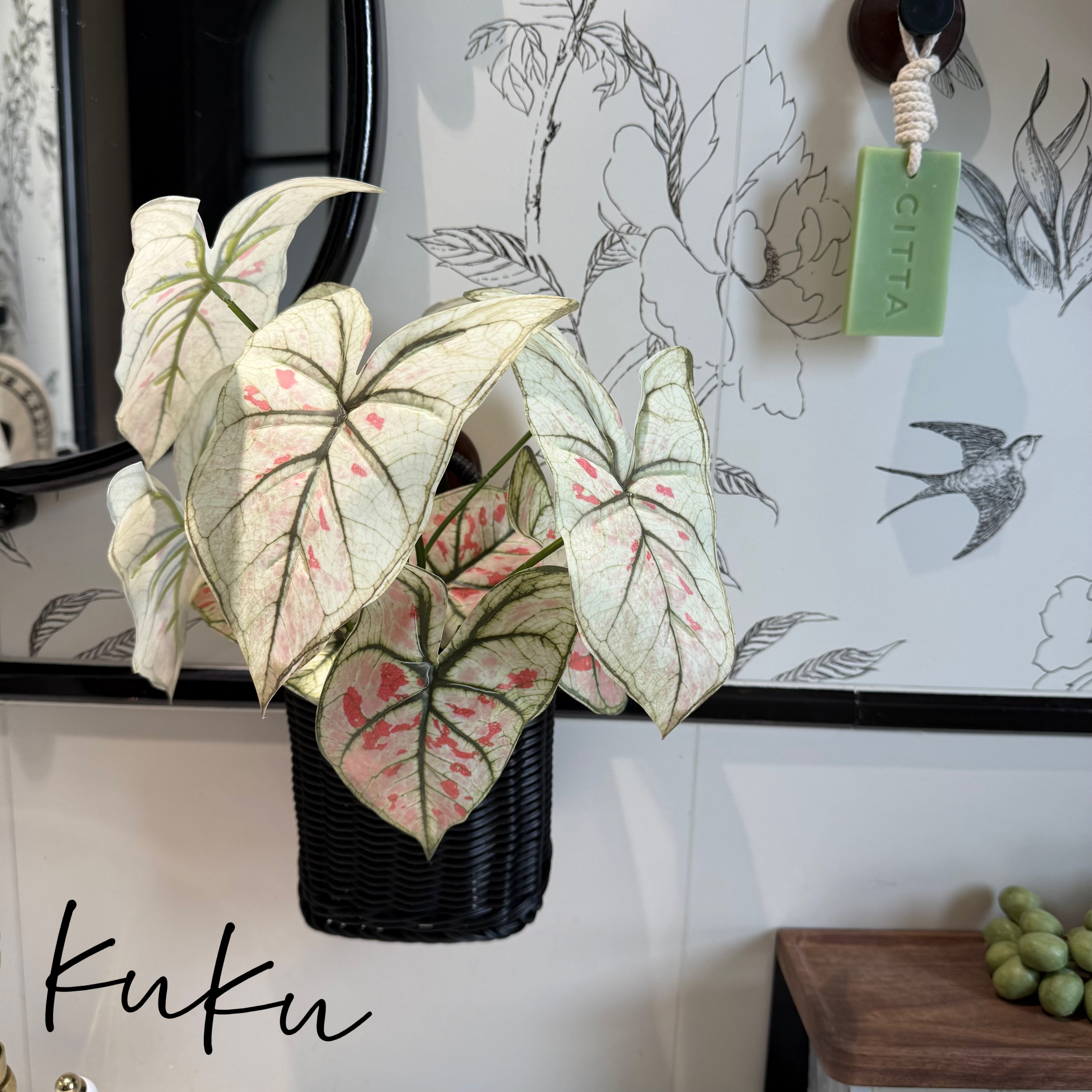 掬涵【推荐】仿真花纹竹芋叶把束带根背景墙面插花植物叶子造景装饰