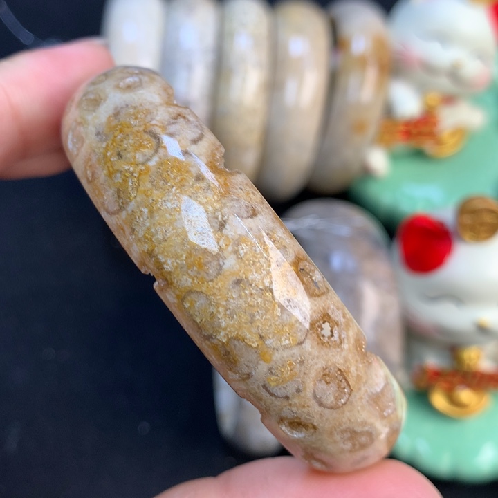 【闪购商品】硅化珊瑚（珊瑚玉）颈饰未镶嵌58+