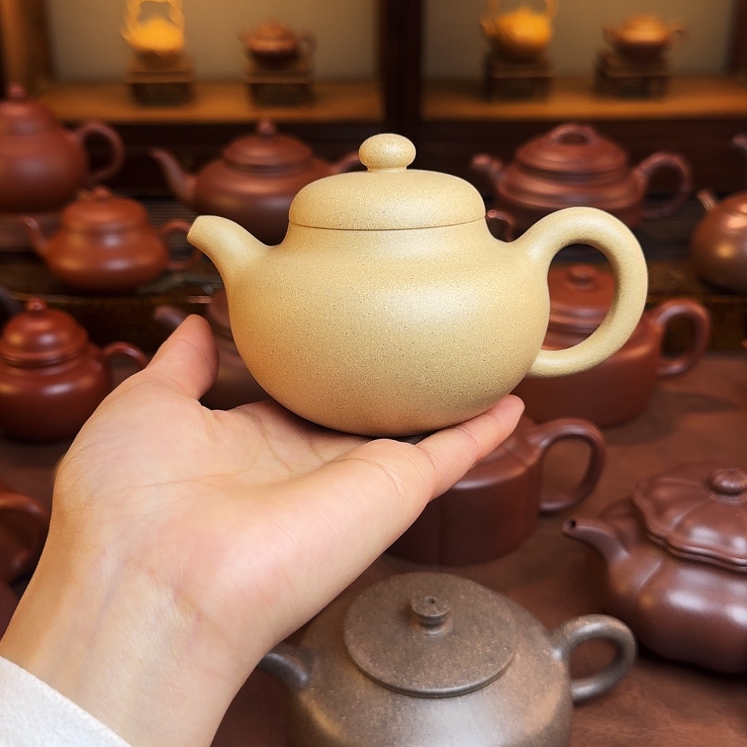 紫砂茶壶柿圆壶，本绿