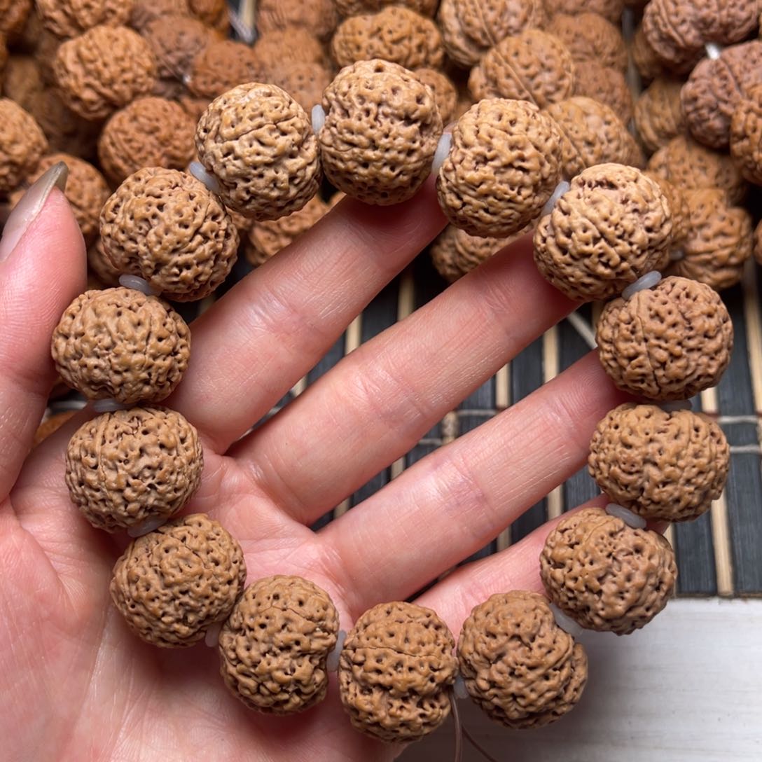 菩提20号金刚菩提五星蜂王20+