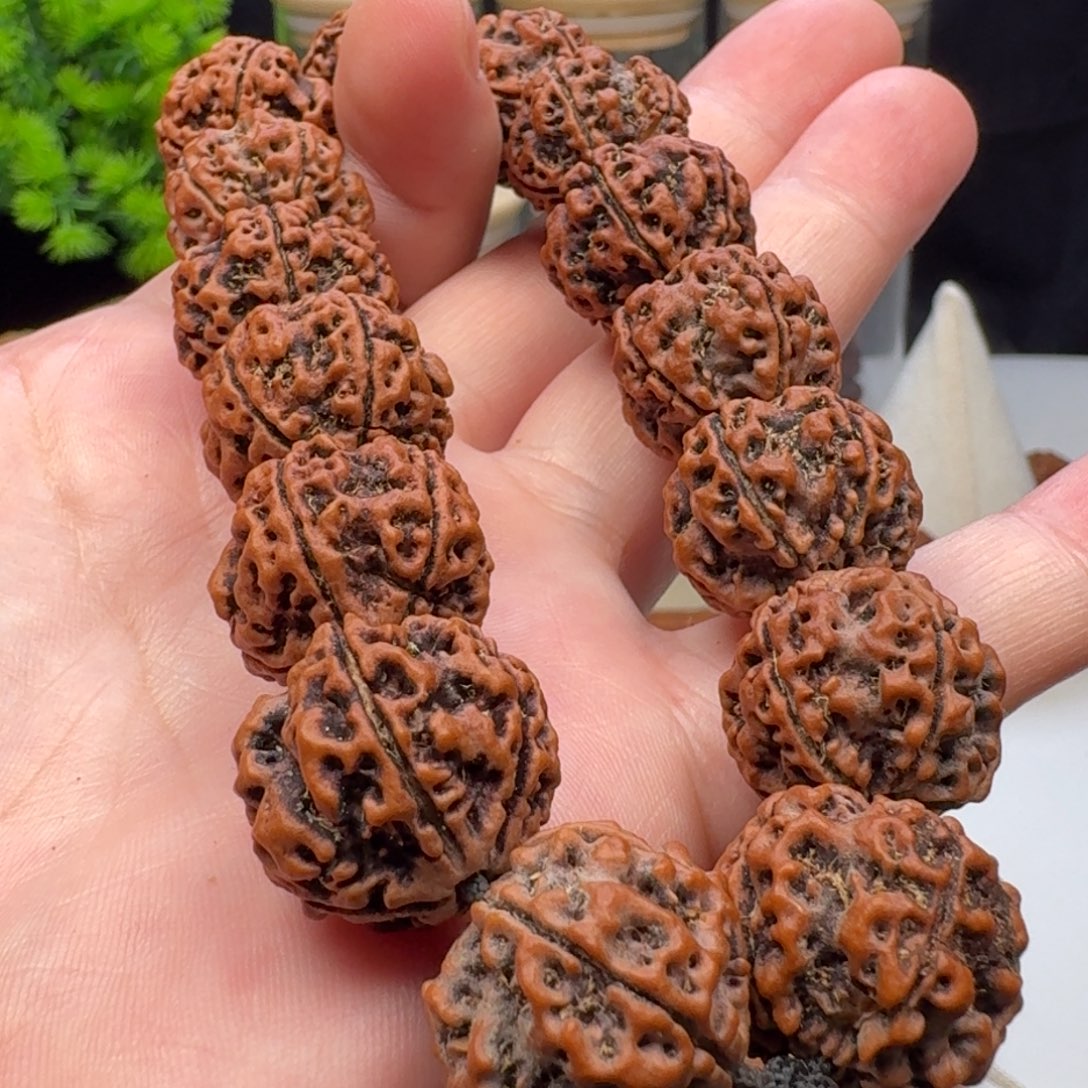 手串金刚菩提蜂窝双龙