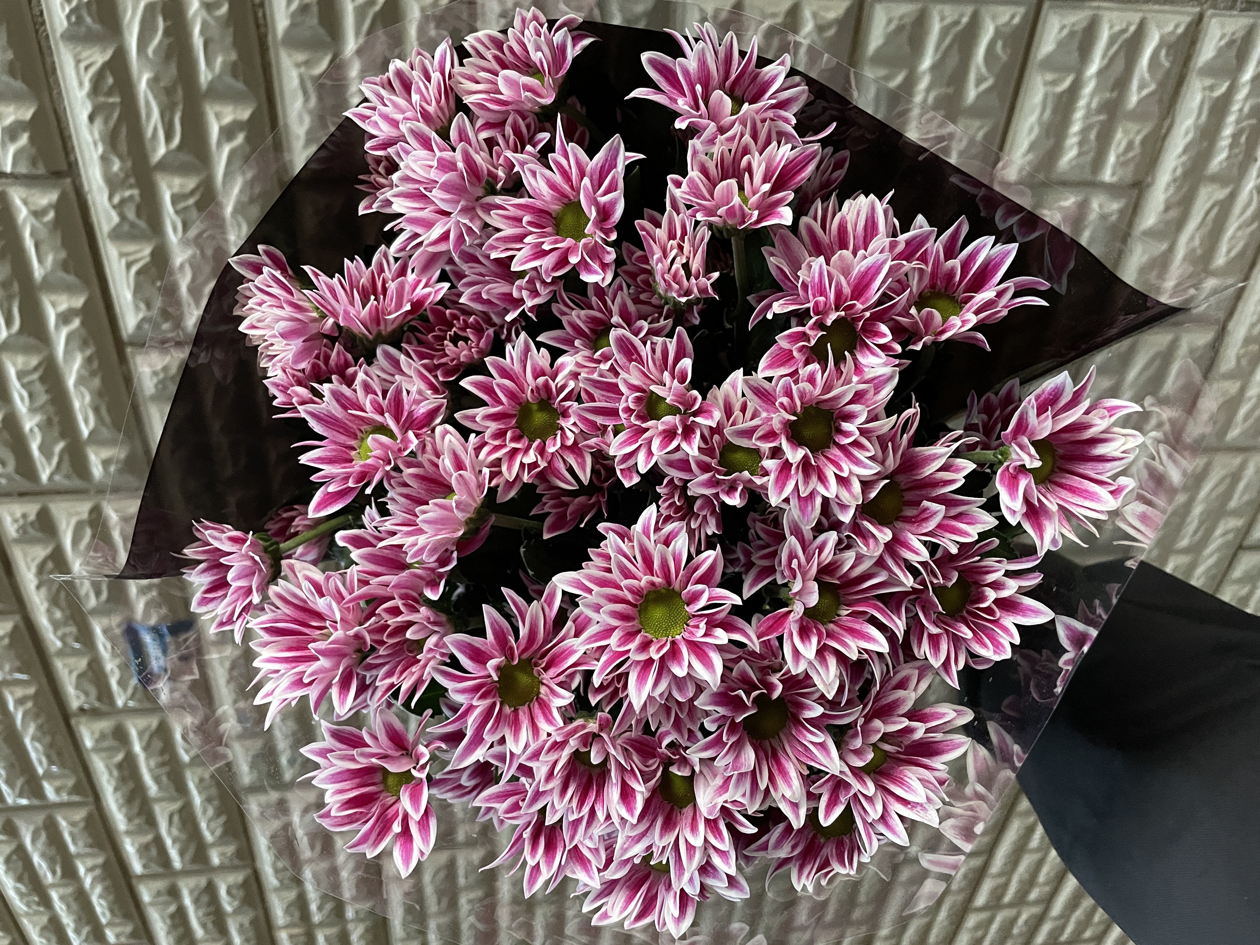 太子（大花头）小雏菊 鲜花全店任意5单一个运费