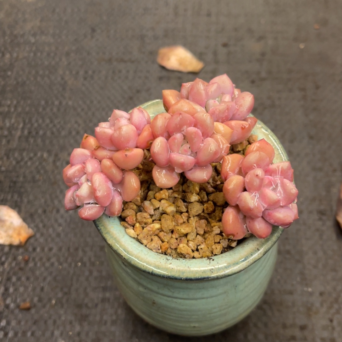 垚***屹686868688668686868686886