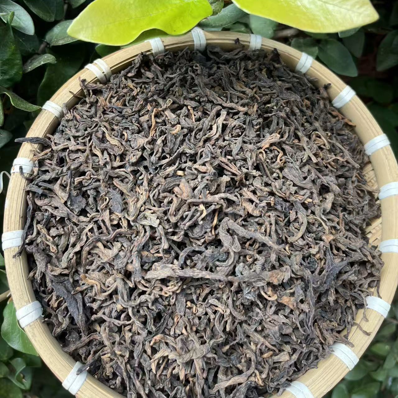 2021年流水古树头春熟茶/散料（普洱茶熟茶）