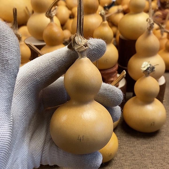 文玩葫芦 完美主义者 慎拍41