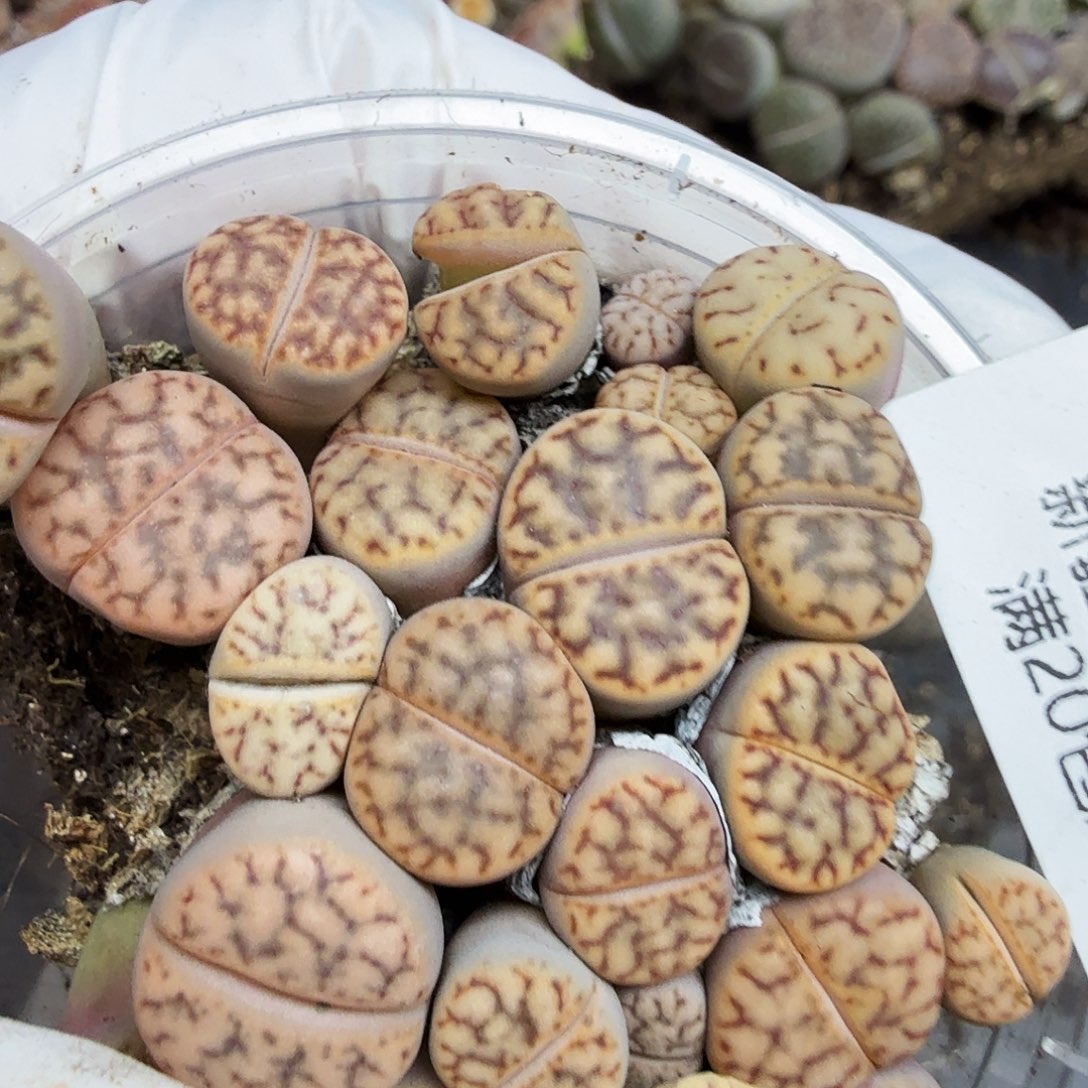 不是很冷哦还是在上班319