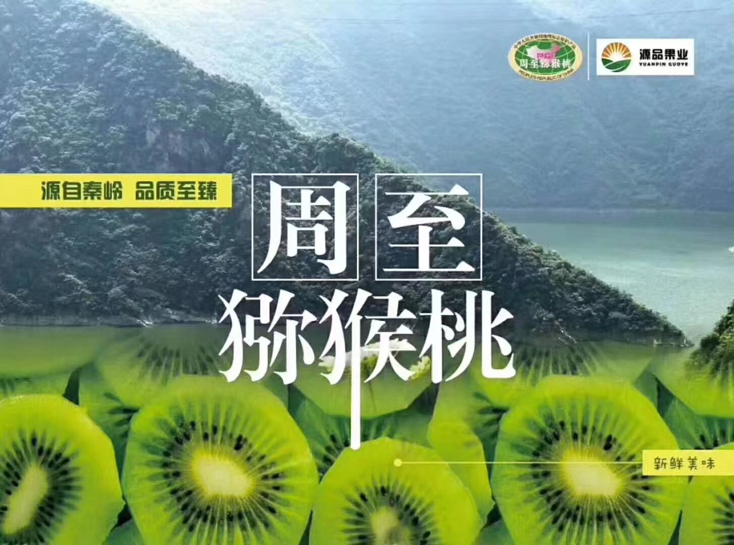 翠香 周至猕猴桃 源自秦岭 品质至臻 每天现摘 
