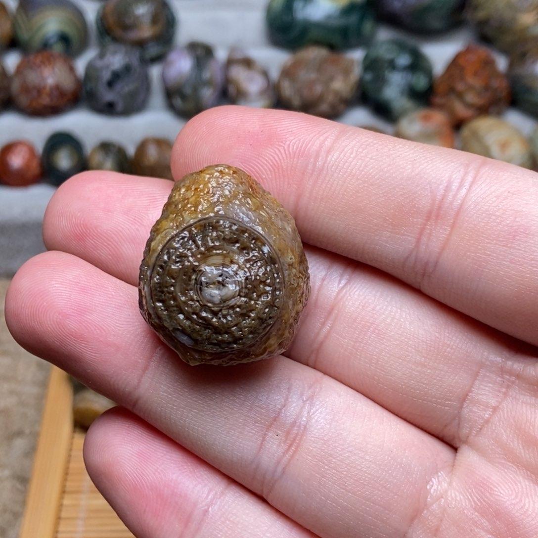 F***t阿拉善戈壁创意饰品