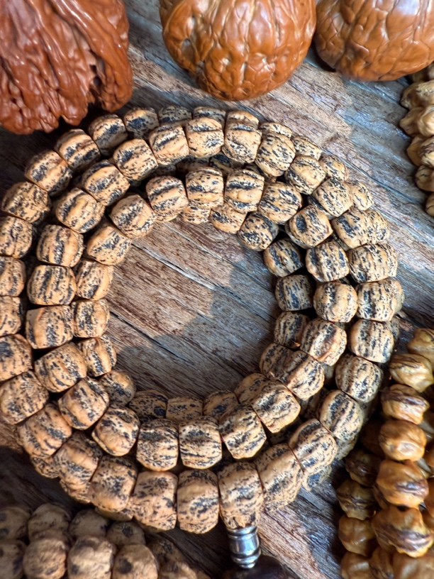 热振大尺寸9直切百香籽