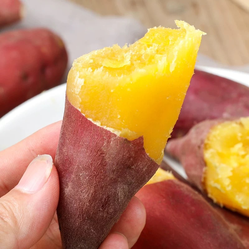 贵州本地小香薯红薯