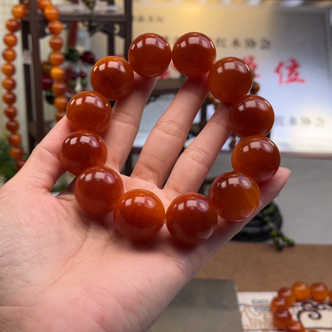 贝壳杉（血龙木）手串/手链潘**胶2.0*12