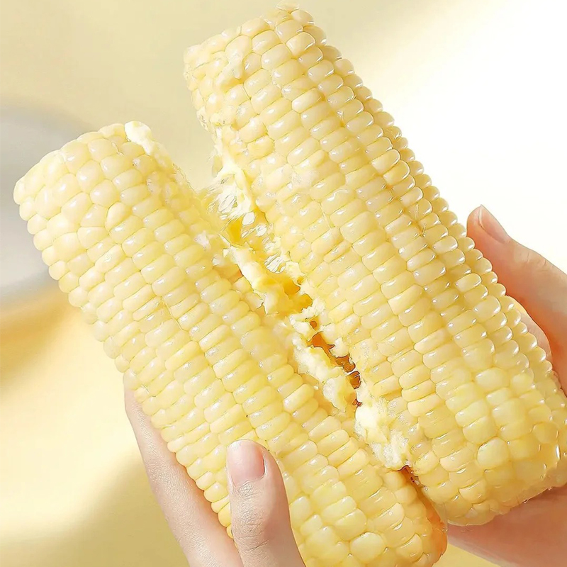 8只  东北头茬甜糯玉米 2024年玉米 