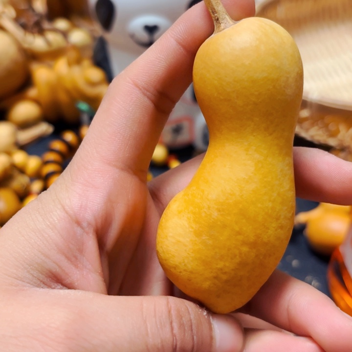 重**锋风裂888888888888888888