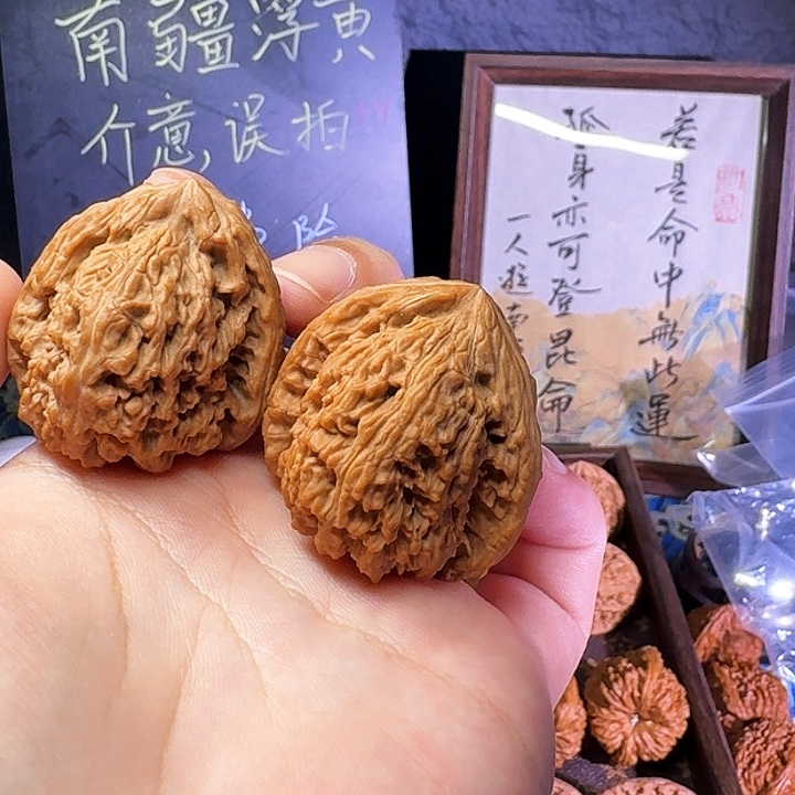 开***克大叶紫檀（黑酸枝木类）