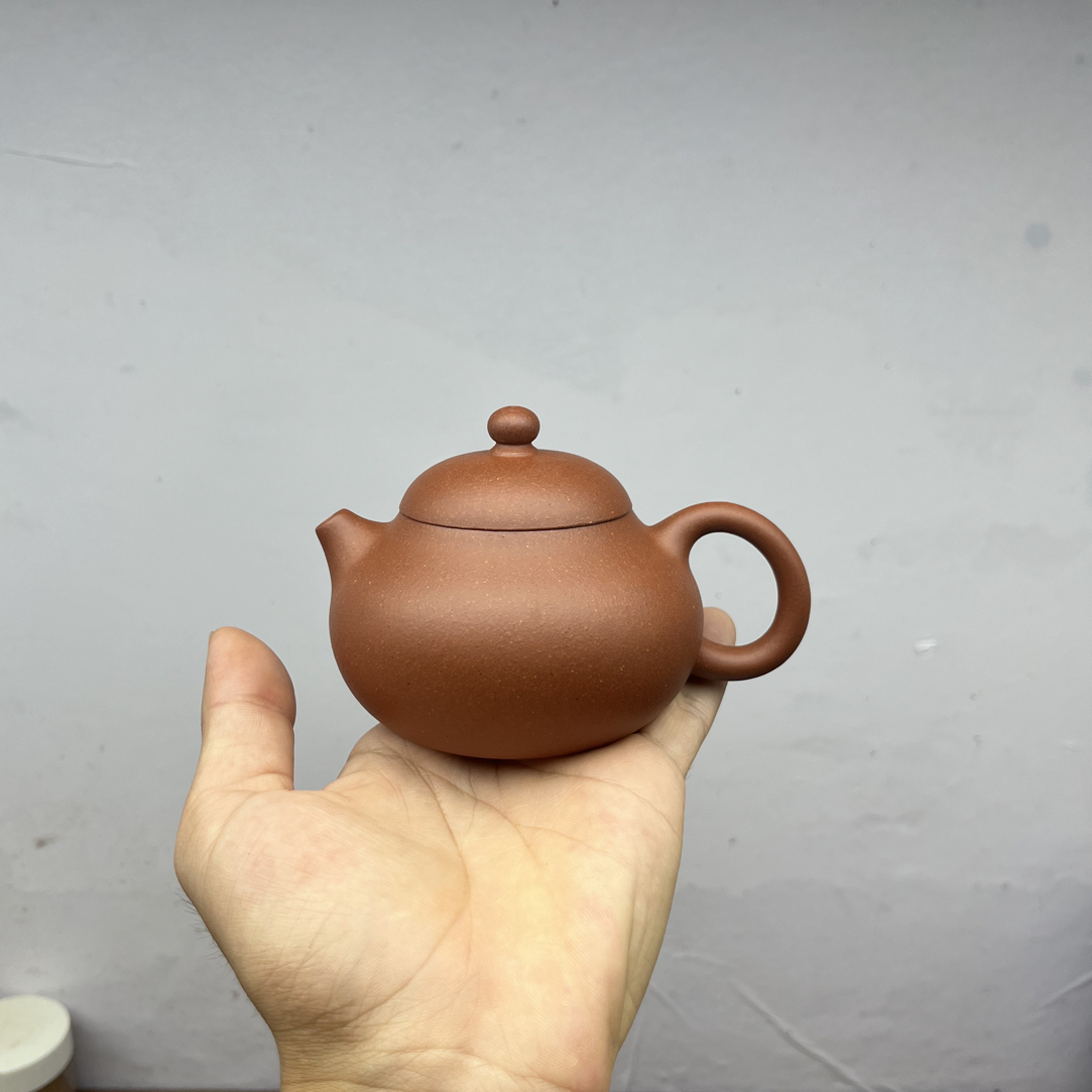 半手工红皮龙文旦180cc