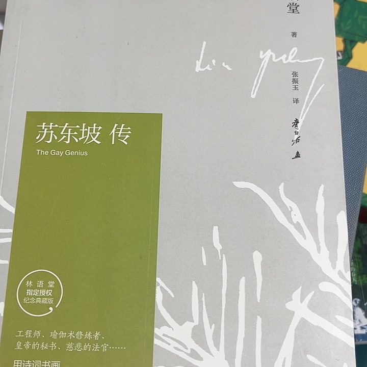 苏东坡传全新推荐