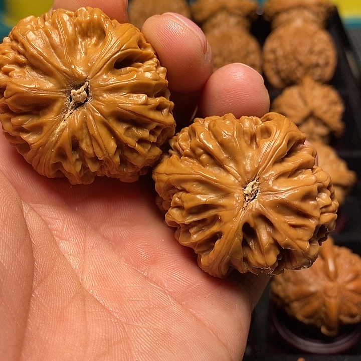 文玩核桃把件40尺核尊