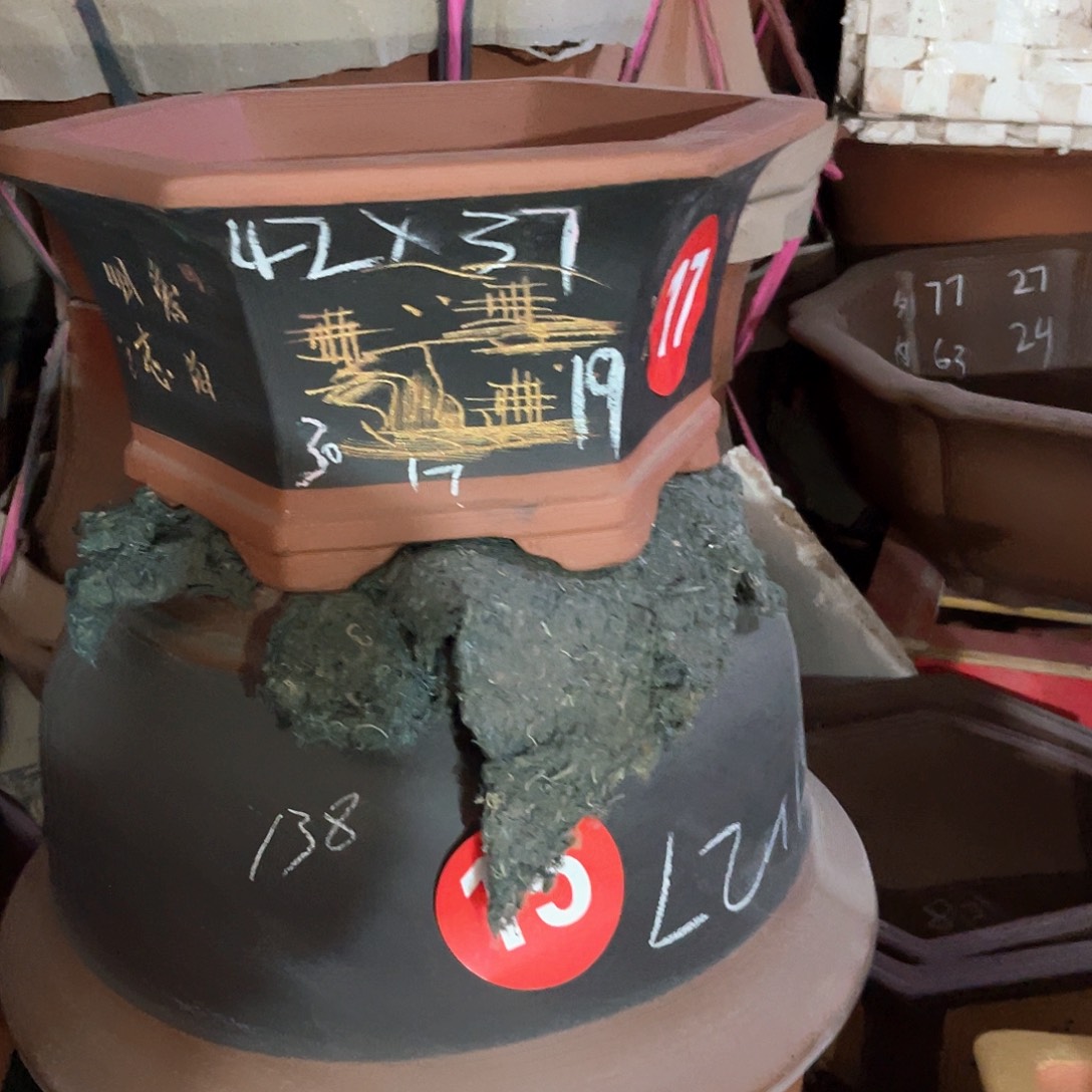 紫砂花盆六方盆一个