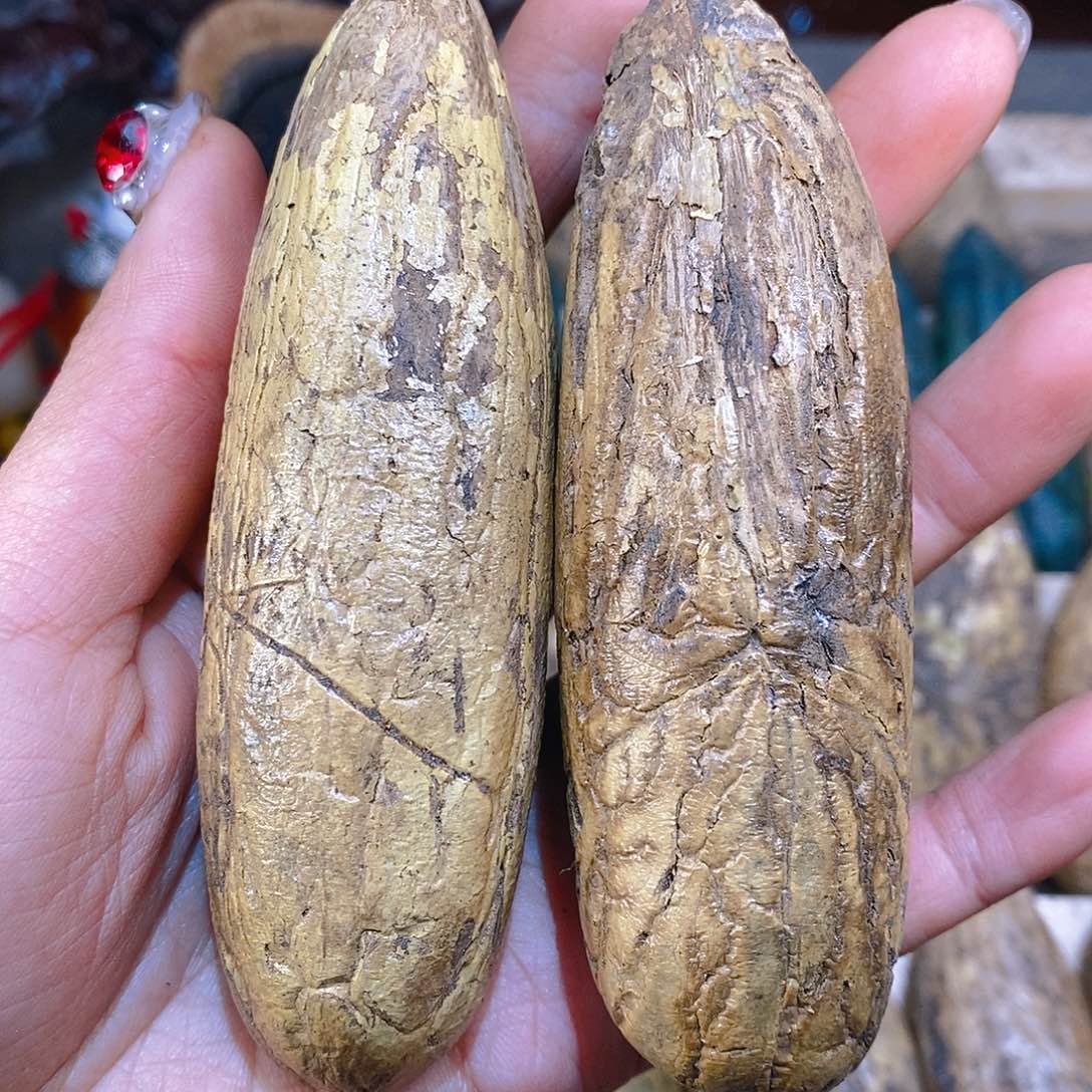 木醉****仙菩提 千眼菩提四号链接补差价