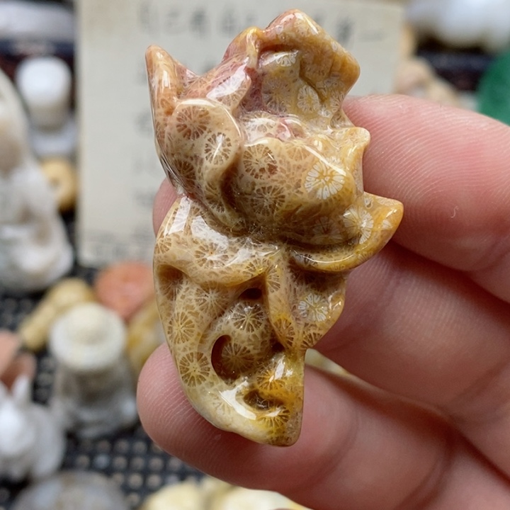 硅化珊瑚（珊瑚玉）未镶嵌颈饰