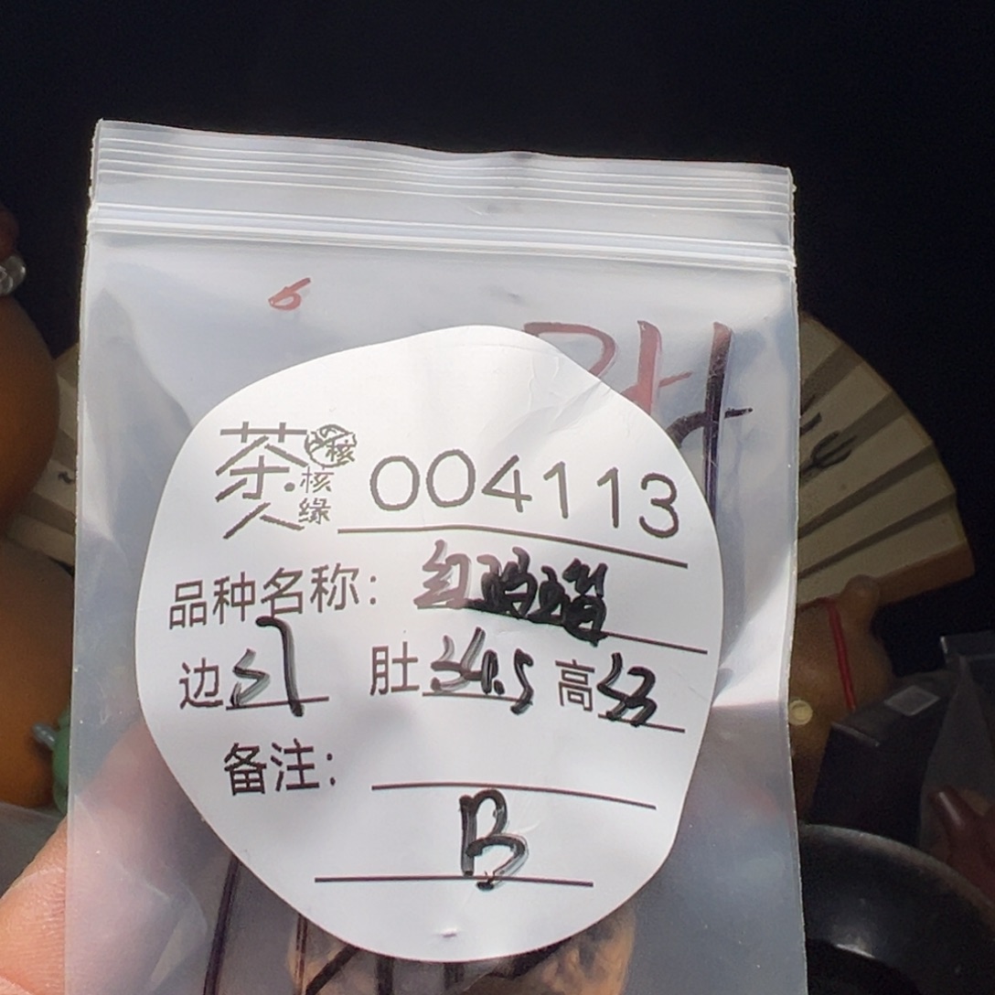 文玩核桃吊坠今天