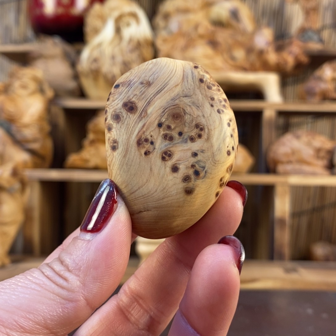 柏木（崖柏）太行崖柏