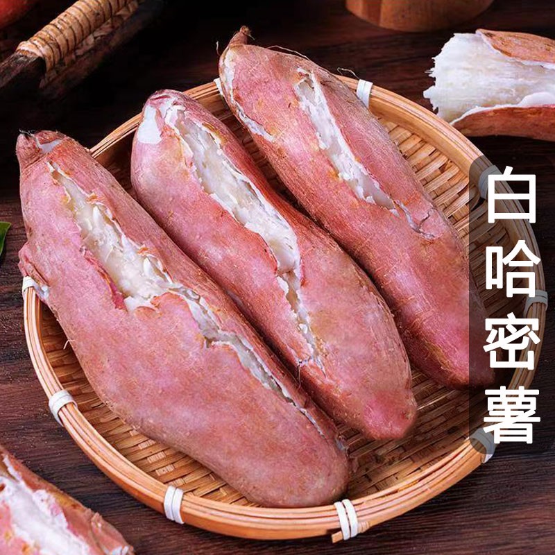 【汇峰农场】25年新挖白哈密薯 净重4.5-5斤±2两 顺丰京东送货上门