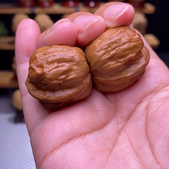 木质类云铁甲壳虫25号30尺