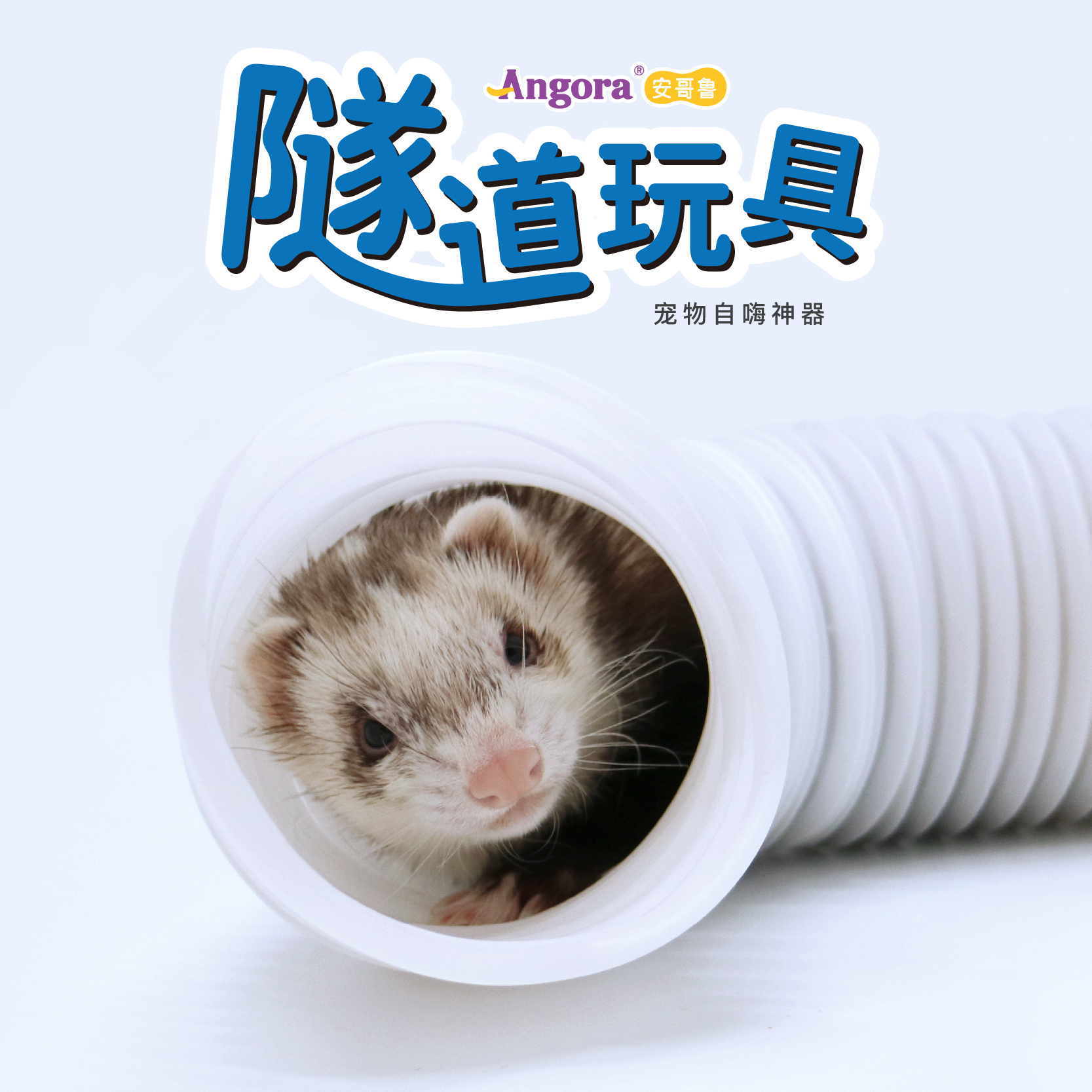 【官方正品】安哥鲁玩具隧道雪貂用品安格鲁小龙貂水混合搭配颜色多