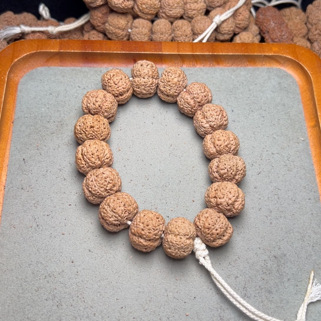 老***孩菩提13号金刚菩提熊猫菠萝蜜21.5超头