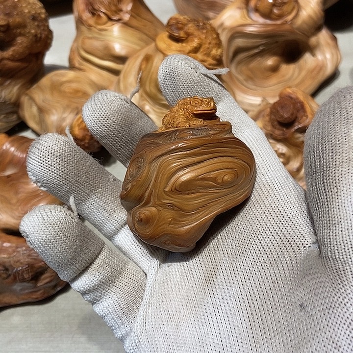 来***外柏木太行山区柏木木木