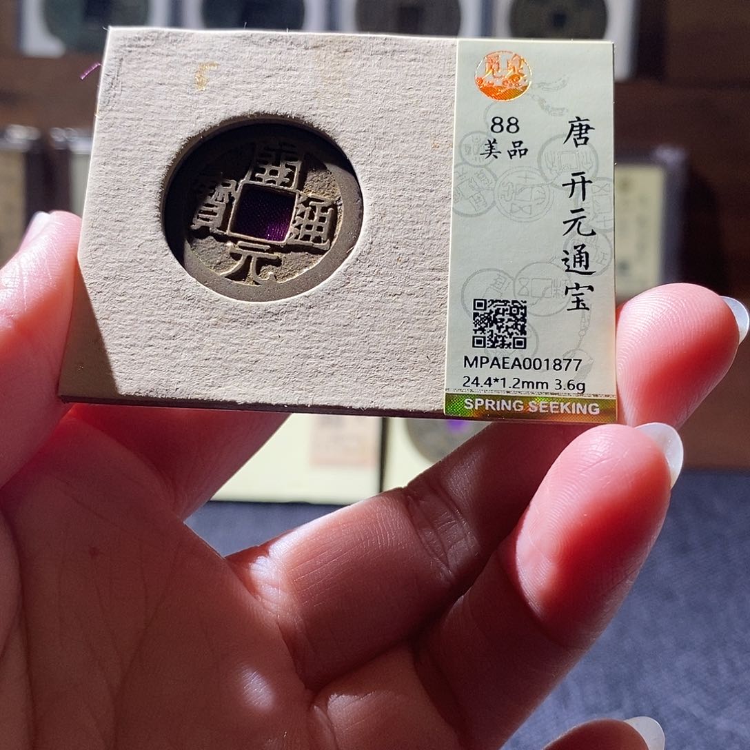 贝壳11 恭喜发财恭喜发财