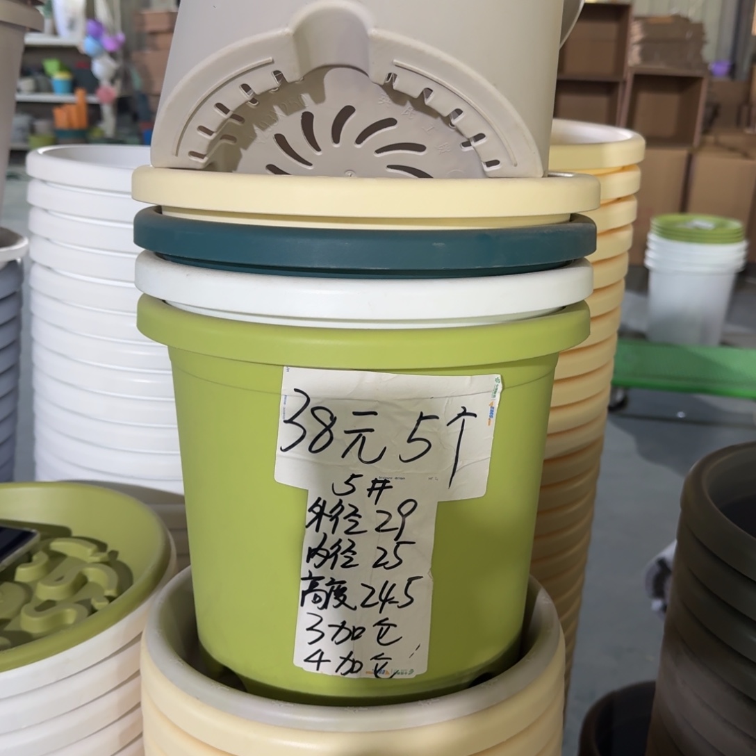 四季5#口径29高25无拖果绿5个