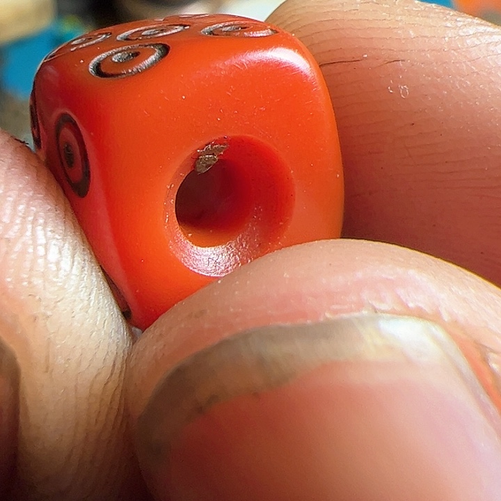 香榧木在家了一个