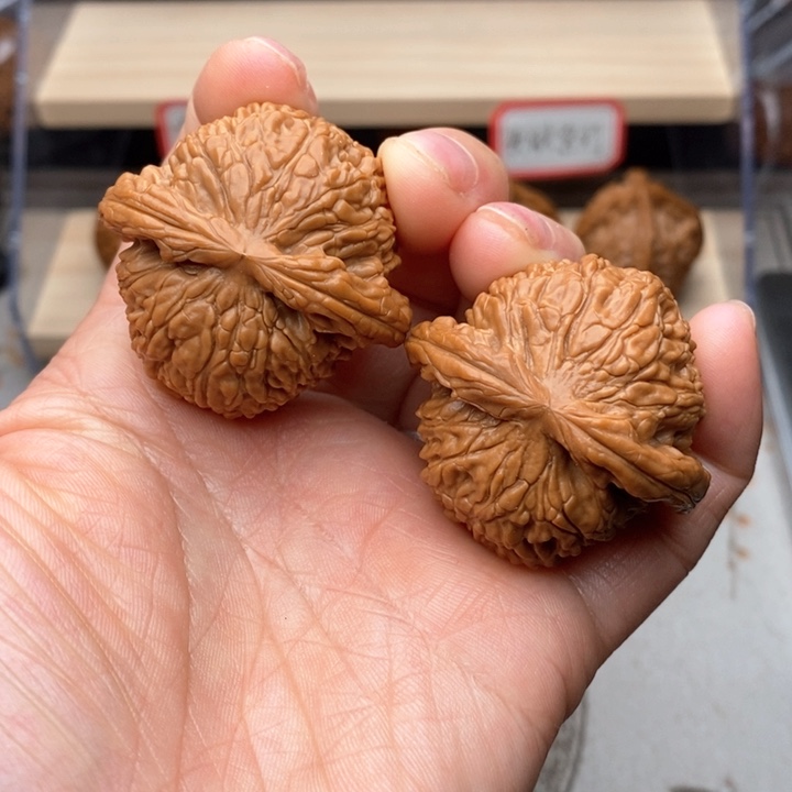 核桃把件白狮子核桃